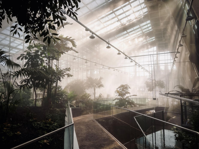 Egzotarium w Sosnowcu