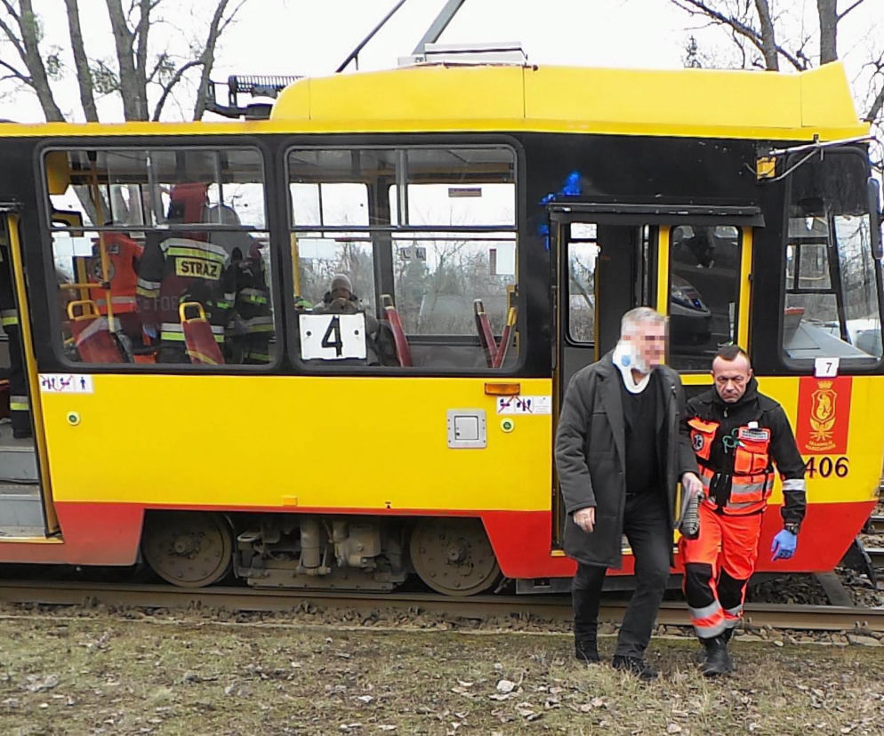 Przez wycinkę drzew zderzyły się tramwaje