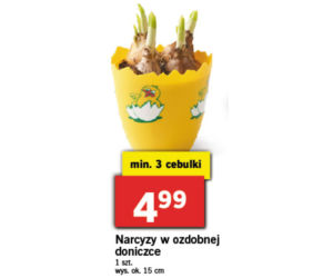 Wielkanocne promocje w Lidlu