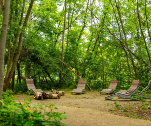 Park Żerański w Warszawie