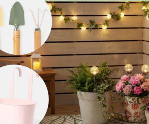 Pepco rusza z nową ofertą do ogrodu i na balkon. Ceny robią wrażenie!