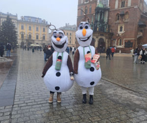 34. finał WOŚP w Krakowie. Golden Retrievery na Rynku Głównym