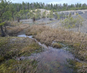 Gagaty Sołtykowskie. Największe ślady dinozaurów w Polsce