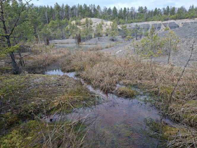 Gagaty Sołtykowskie. Największe ślady dinozaurów w Polsce