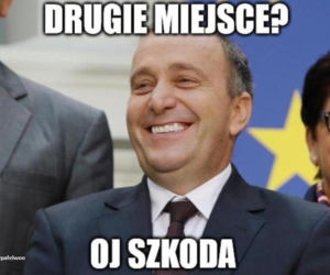 Wybory parlamentarne 2015 [MEMY]
