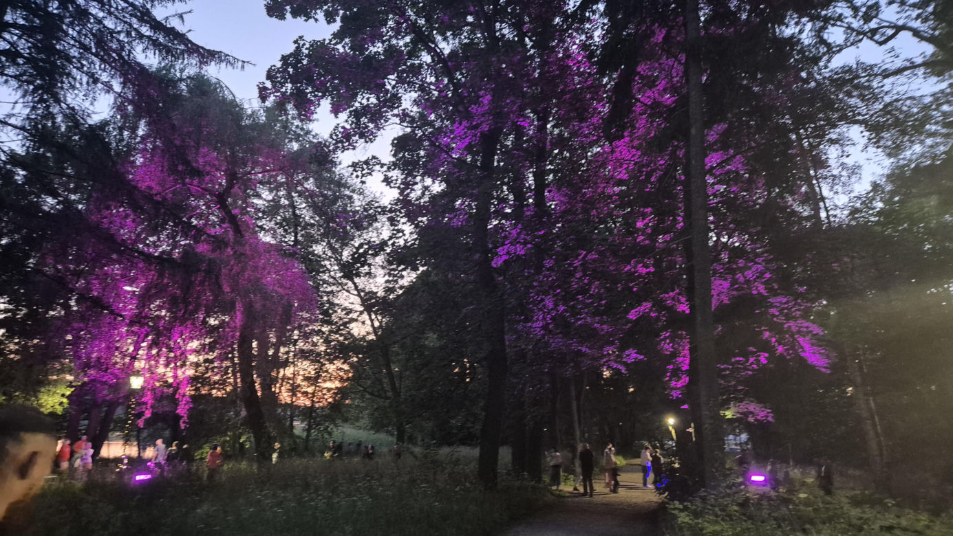 Olsztyn zamienił się w magiczną krainę. Park Świateł przyciągnął tłumy!