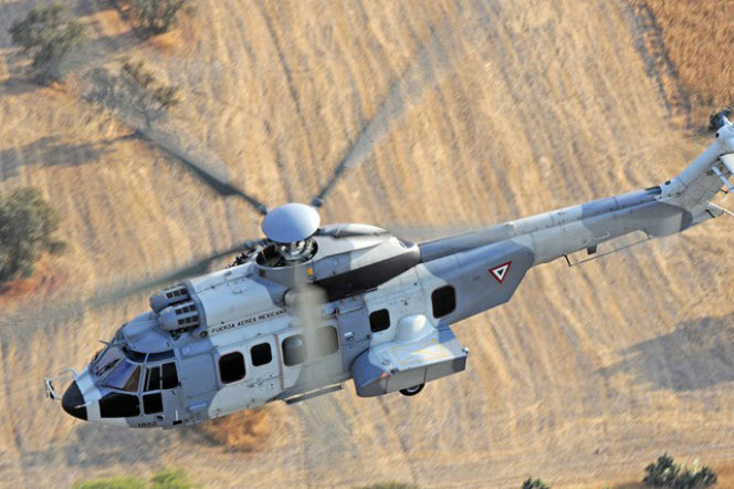 Caracal