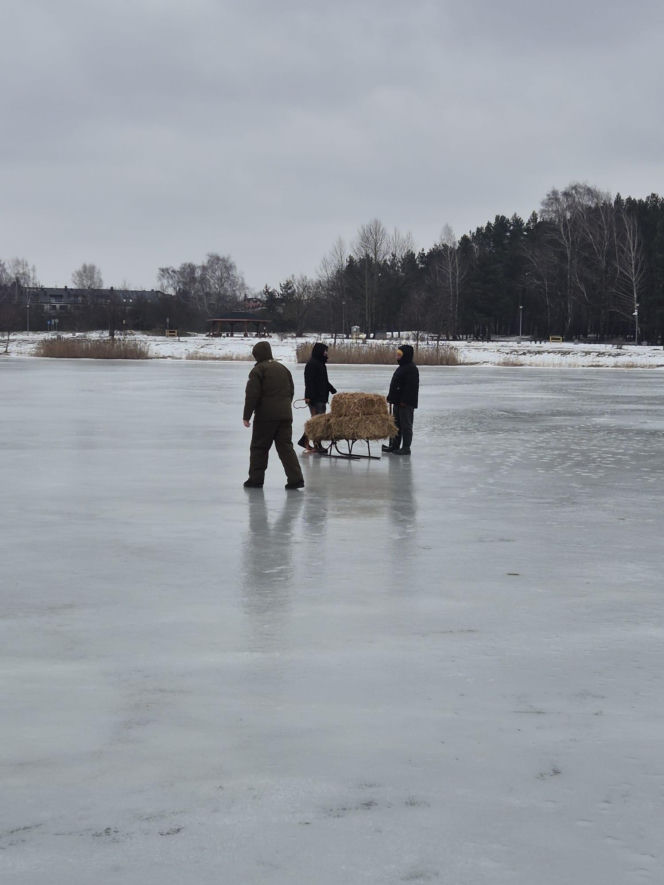 Wycinanie przerębli na zalewie siedleckim 2026