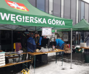 Tak WOŚP grała na Żywiecczyźnie
