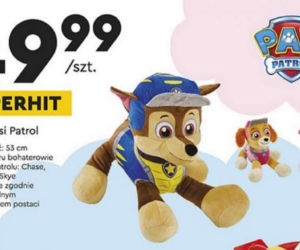 Biedronka na Dzień Dziecka