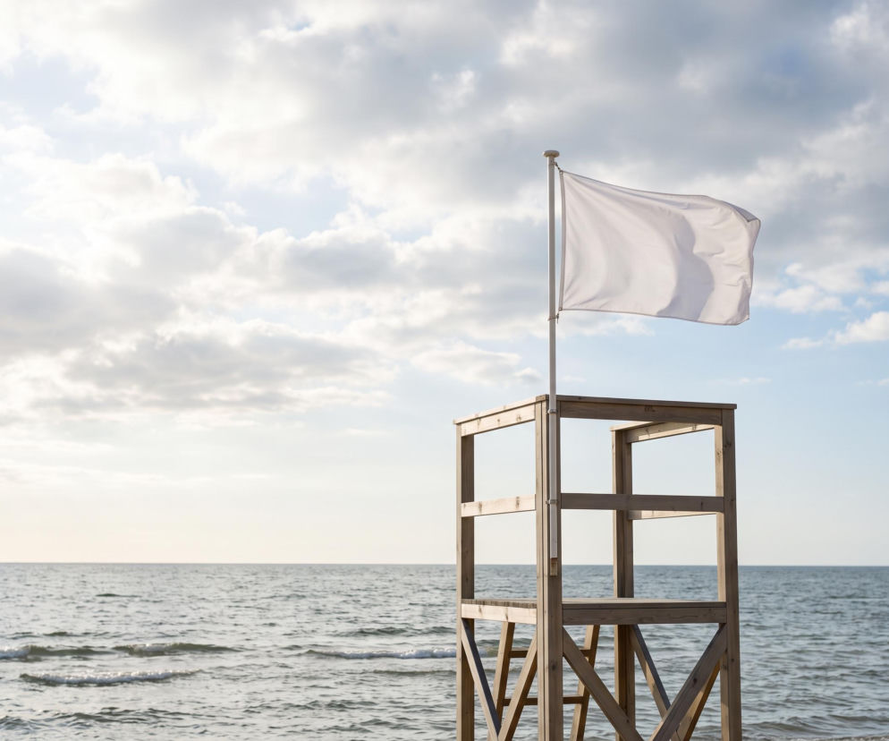 Sinice Gdynia. Czy w Gdyni można się kąpać 17.08? Flaga, warunki pogodowe