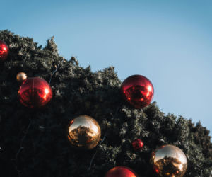 Nie wyrzucaj po świętach. Podziel się jedzeniem w jadłodzielni