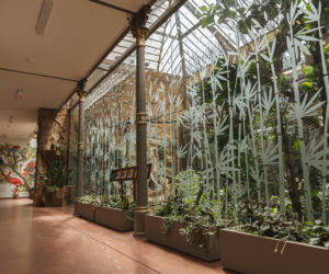Zabytkowa ptaszarnia we wrocławskim zoo odzyskała dawny blask