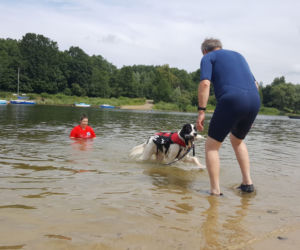 I Festiwal Psów Ratowniczych na plaży miejskiej w Żywcu