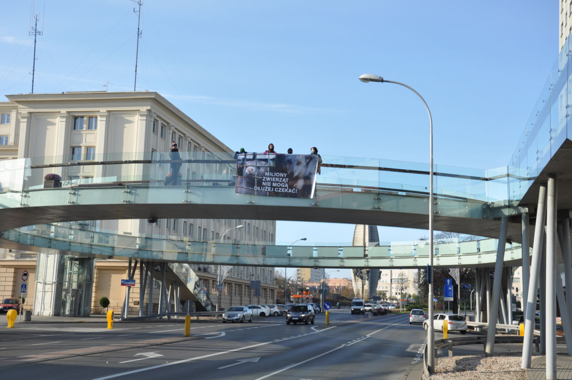 Dzień Bez Futra w Rzeszowie. Aktywiści wywiesili baner na ogrągłej kładce