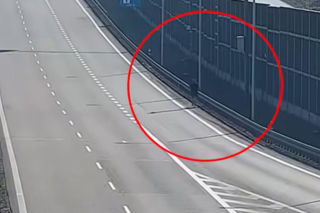 Postanowił zrobić trening na ekspresówce w woj. lubelskim