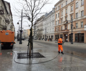 Sprzątanie Piotrkowskiej