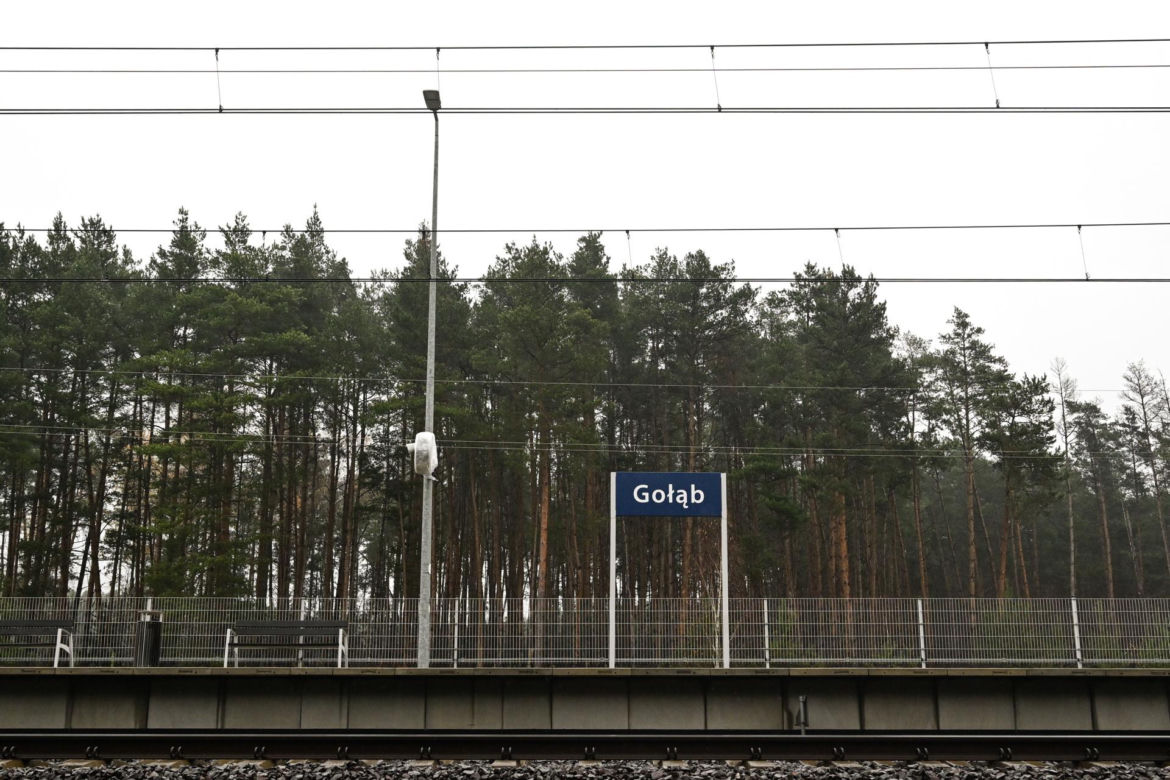 Nagłe zatrzymanie pociągu pod Puławami. Mamy zdjęcia!