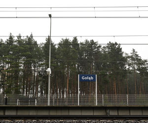 Nagłe zatrzymanie pociągu pod Puławami. Mamy zdjęcia!