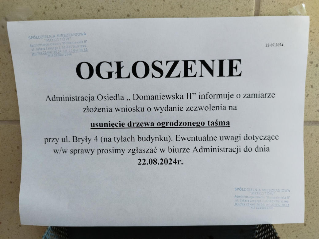 Wielkie drzewo runęło im na blok. „Widziałam, jak na mnie leci!”