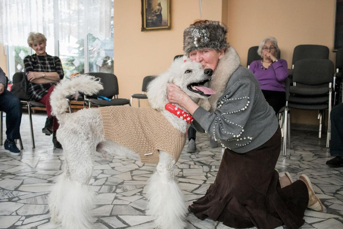 Dogoterapia