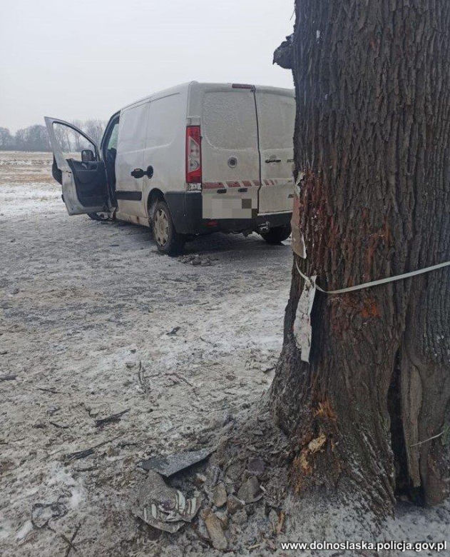 Roztrzaskał dostawczaka na drzewie. Gdy policjanci zajrzeli do bagażnika, zamarli