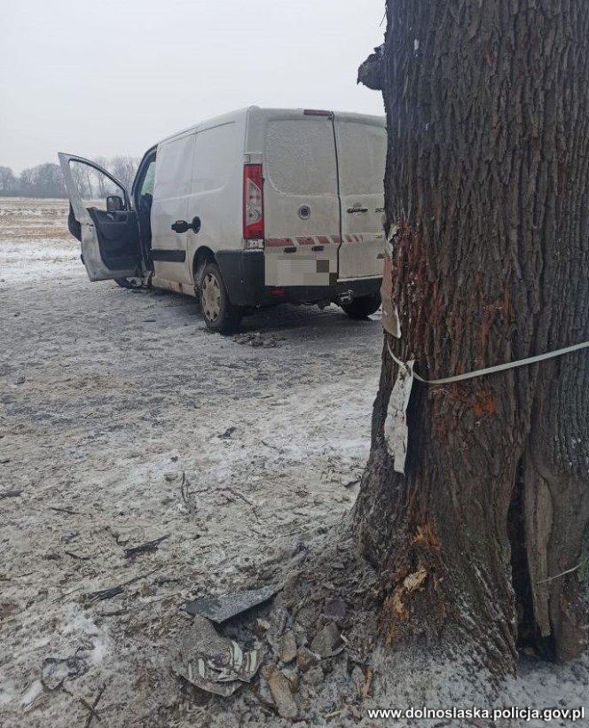 Roztrzaskał dostawczaka na drzewie. Gdy policjanci zajrzeli do bagażnika, zamarli