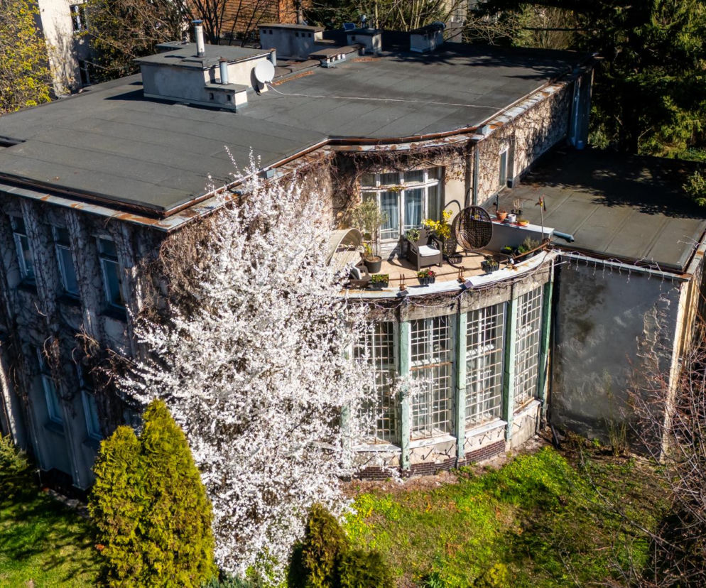 Modernistyczna willa z przeszklonym półokrągłym salonem i tarasem. O perle Saskiej Kępy przeczytasz w serwisie Architektura.
