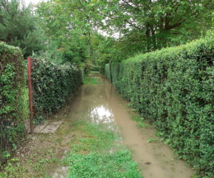 Przemyśl: San zalał ogródki działkowe i ścieżki rowerowe