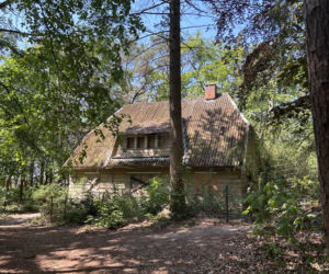 Urokliwy domek nad morzem, a kłopot ogromny. Winny plan miejscowy i historia