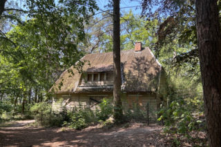 Urokliwy domek w lesie nad morzem, a kłopot ogromny. Wszystko przez plan miejscowy i historię
