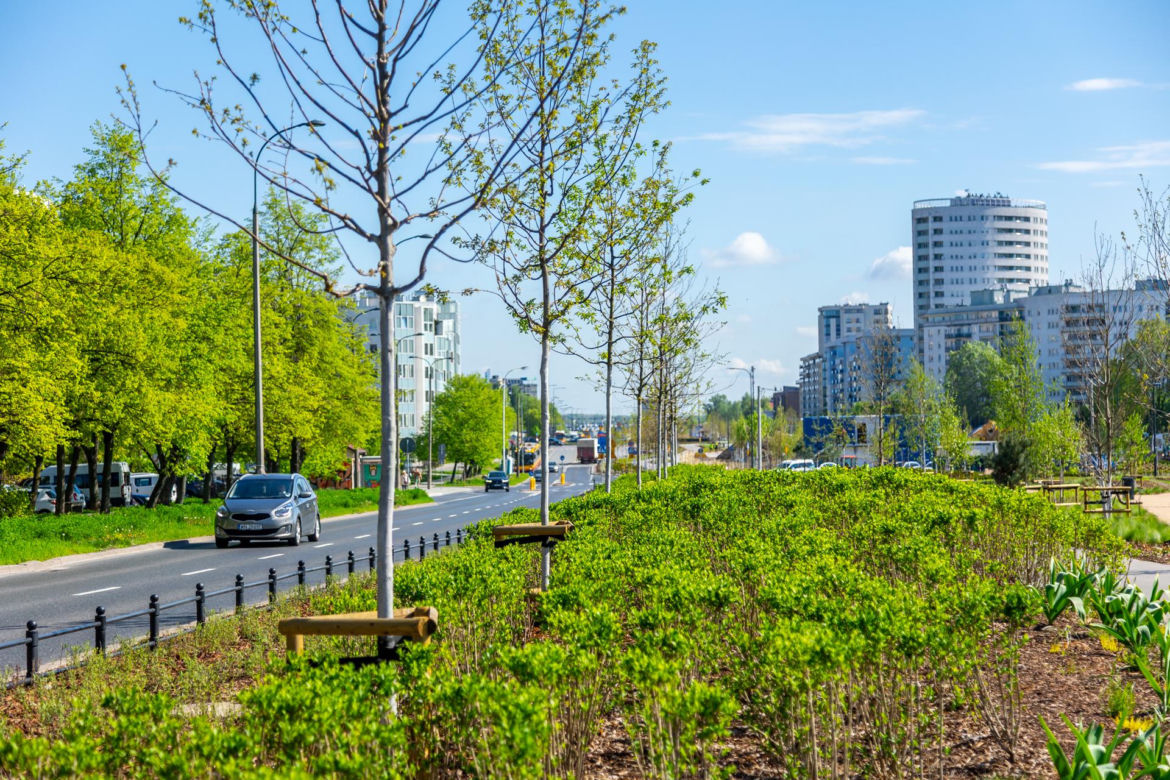 Park nad Południową Obwodnicą Warszawy na Ursynowie