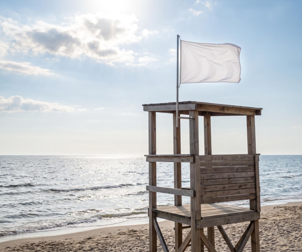 Sinice Gdynia. Czy w Gdyni można się kąpać 02.08? Flaga, warunki pogodowe