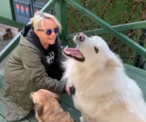 Małgorzata Ostrowska