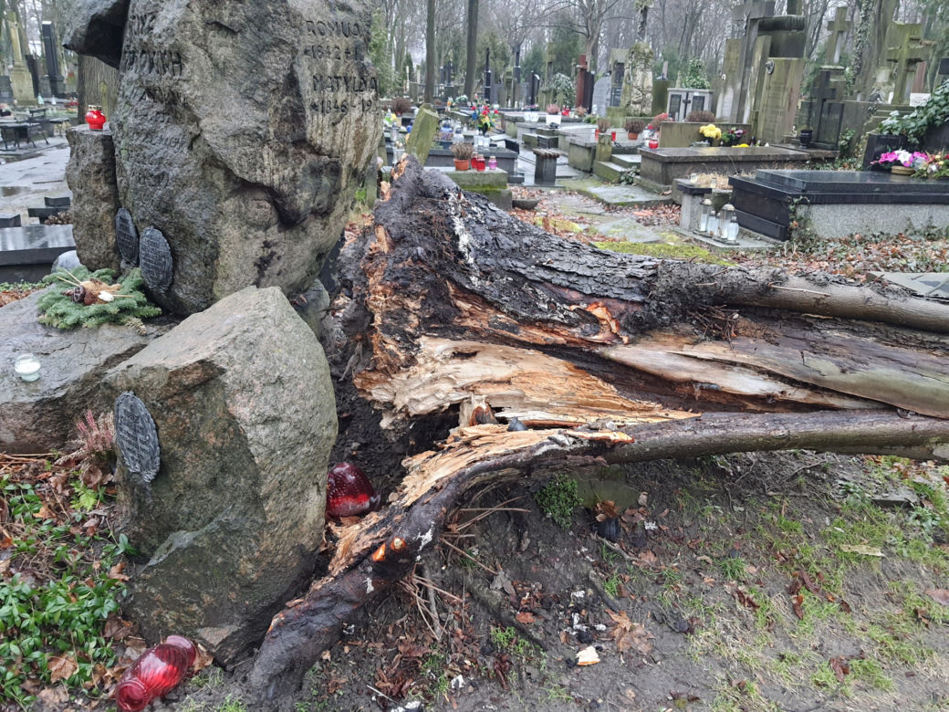 Wichura zdemolowała stołeczne nekropolie. Kompletna ruina na cmentarzach 