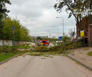 Potworne skutki wichury w Warszawie