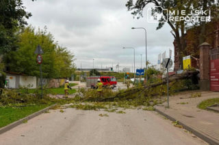 Potworne skutki wichury w Warszawie