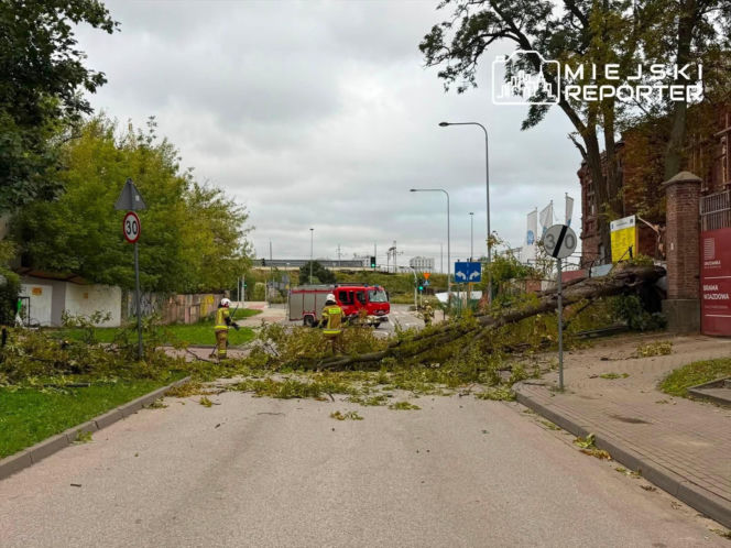 Potworne skutki wichury w Warszawie