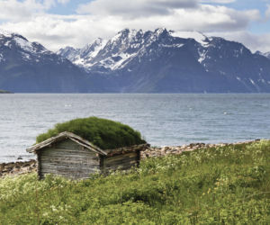 Zielone dachy Norwegii