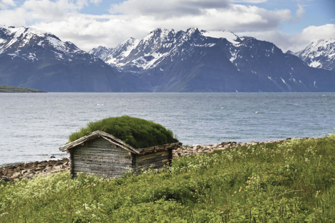 Zielone dachy Norwegii