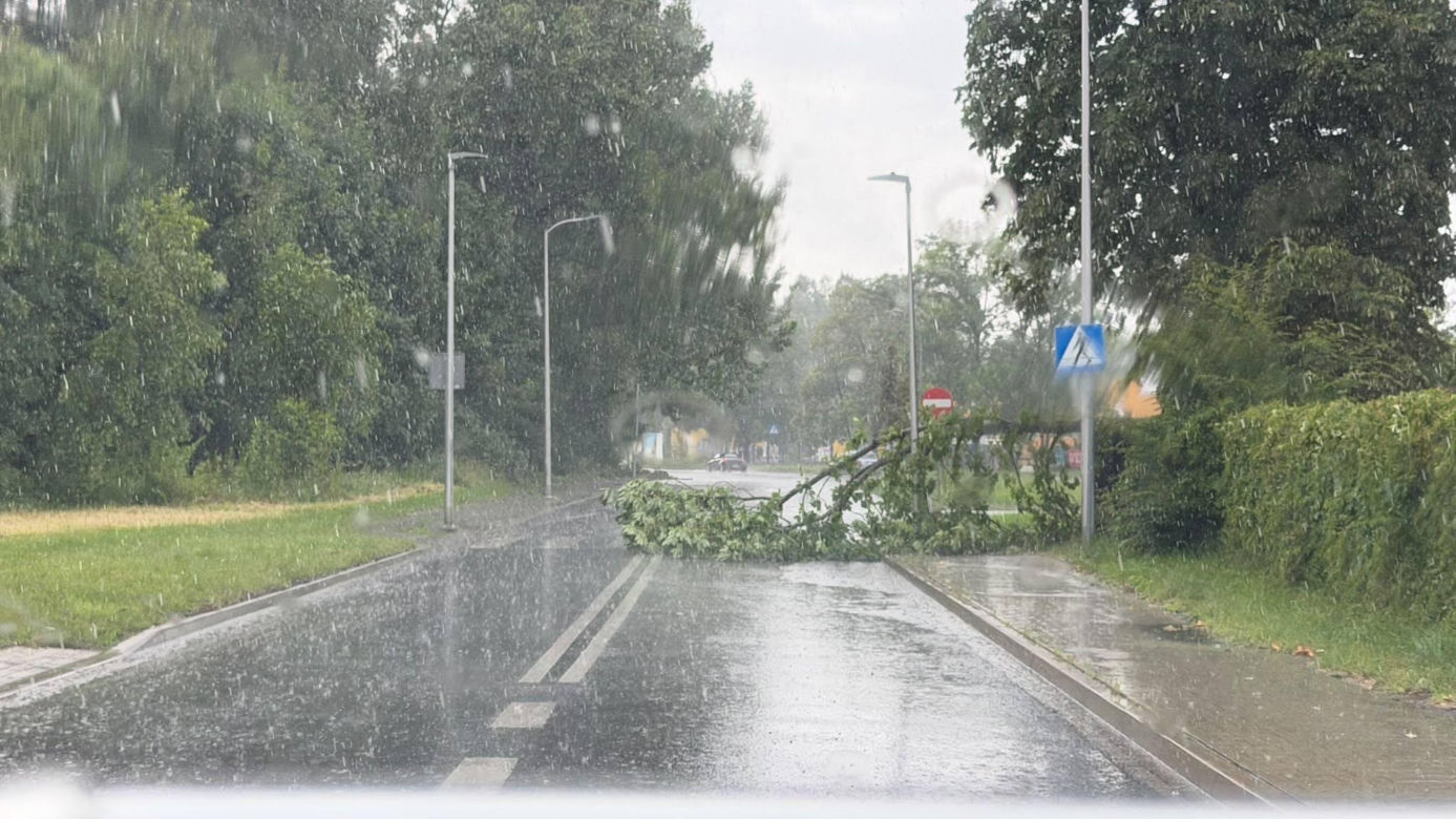 Burze spustoszyły Dolny Śląsk. Setki interwencji strażaków i ewakuacja obozów harcerskich