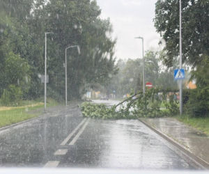 Burze spustoszyły Dolny Śląsk. Setki interwencji strażaków i ewakuacja obozów harcerskich