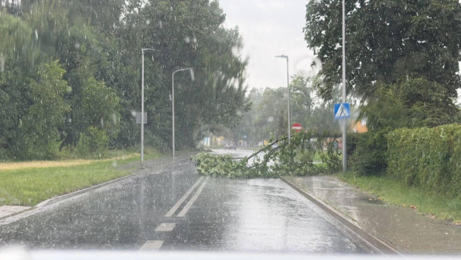 Burze spustoszyły Dolny Śląsk. Setki interwencji strażaków i ewakuacja obozów harcerskich