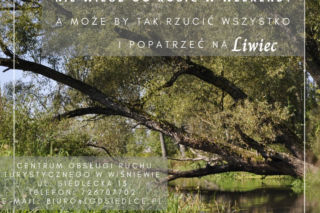 Plener malarski i budki nietelefoniczne. Lokalne Grupy Działania promują Dolinę Liwca