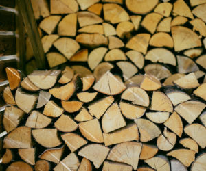 Sprawdzamy ceny drewna opałowego 2025 w Lasach Państwowych