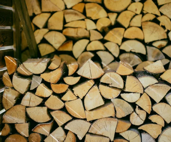 Ceny drewna opałowego 2026: ile zapłacisz w Lasach Państwowych?