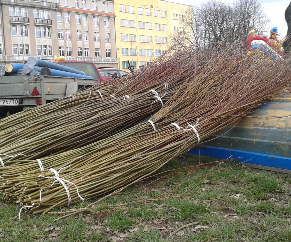 Wszystkie wydarzenia w ramach projektu będą darmowe