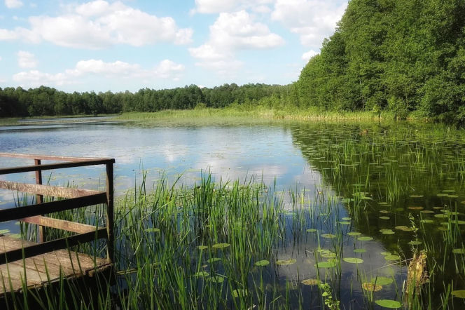 Jezioro / Wielkopolska