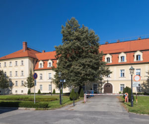 To miasto na Śląsku było kiedyś stolicą. Urzeka dawnym zamkiem i kościołami