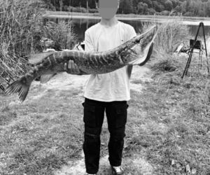 Nikola i Kacper zginęli, wracając z pikniku